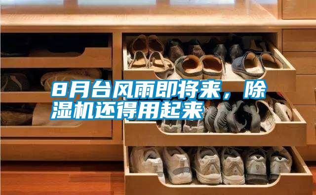 8月臺風雨即將來,除濕機還得用起來