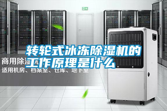 轉(zhuǎn)輪式冰凍除濕機的工作原理是什么