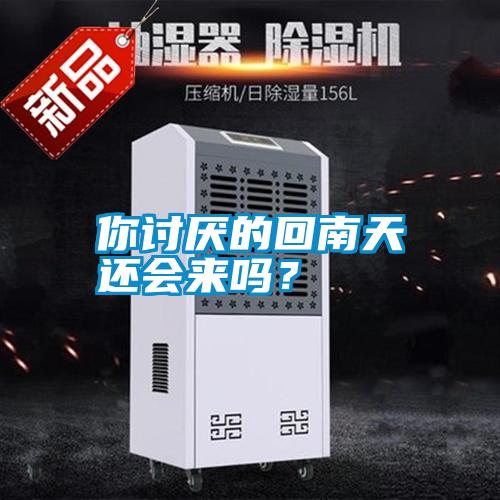 你討厭的回南天還會來嗎？