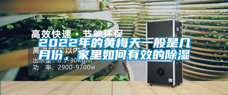 2022年的黃梅天一般是幾月份,家里如何有效的除濕