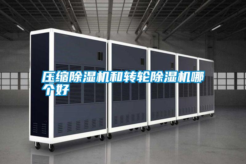 壓縮除濕機和轉輪除濕機哪個好