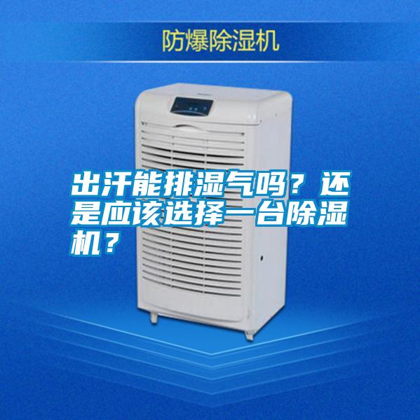 出汗能排濕氣嗎?還是應該選擇一臺除濕機?