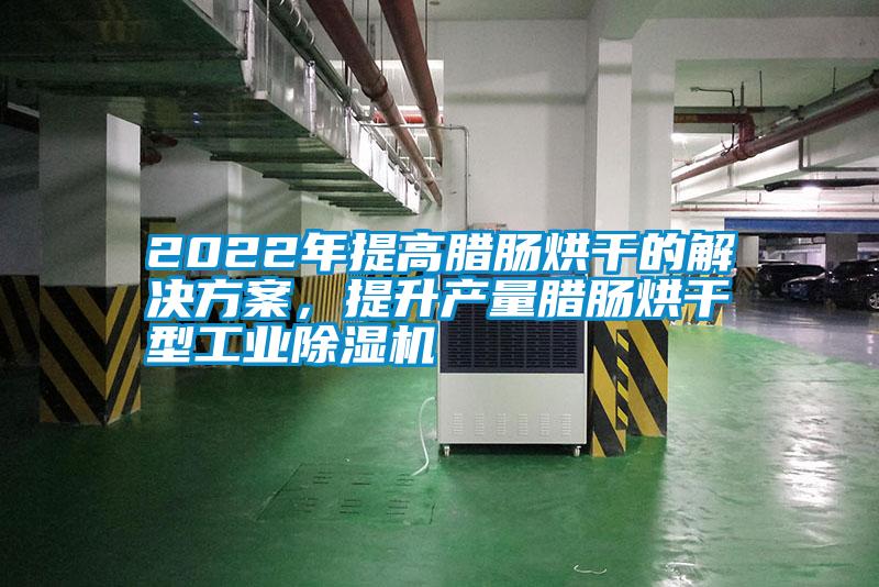 2022年提高臘腸烘干的解決方案，提升產量臘腸烘干型工業(yè)除濕機