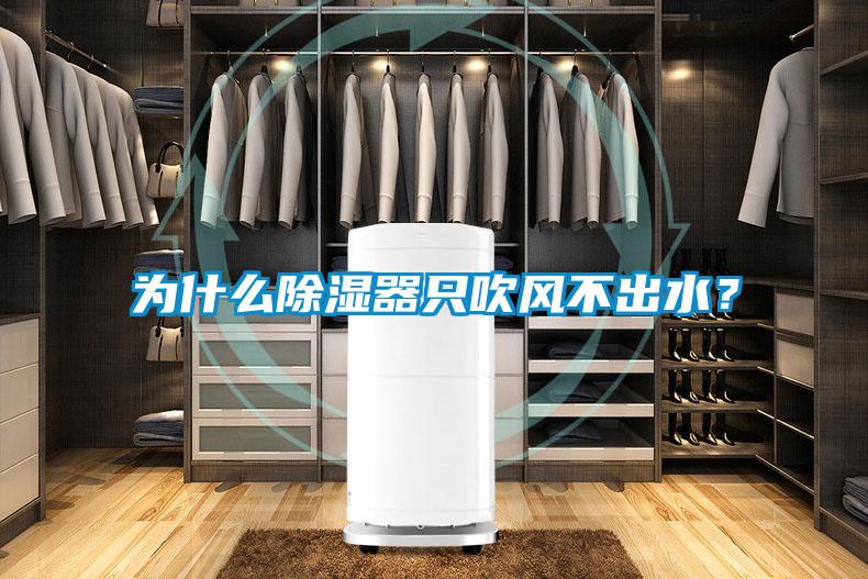 為什么除濕器只吹風不出水？