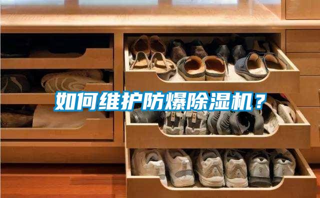 如何維護(hù)防爆除濕機(jī)?