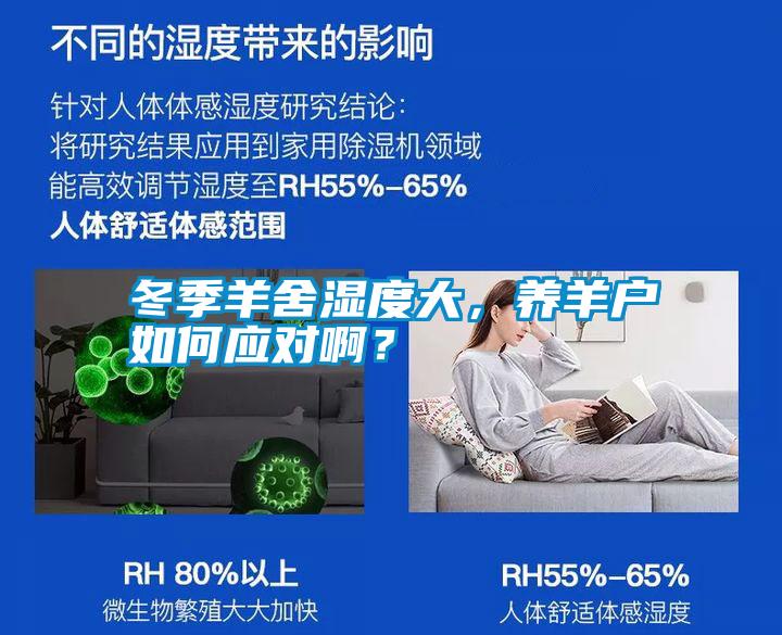 冬季羊舍濕度大,養(yǎng)羊戶如何應對啊?