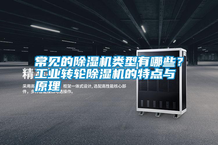 常見的除濕機(jī)類型有哪些？工業(yè)轉(zhuǎn)輪除濕機(jī)的特點(diǎn)與原理