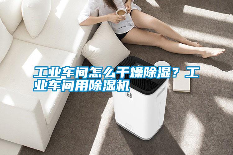 工業車間怎么干燥除濕?工業車間用除濕機