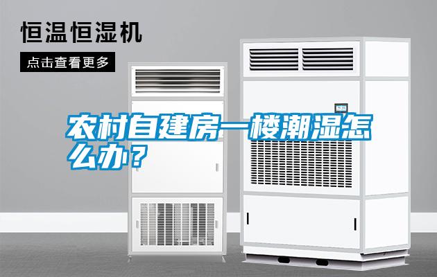 農村自建房一樓潮濕怎么辦？