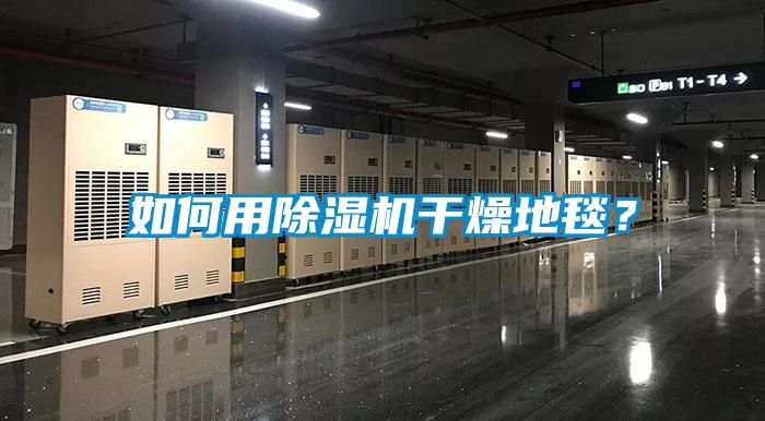 如何用除濕機(jī)干燥地毯？