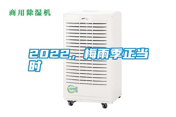 2022,梅雨季正當時