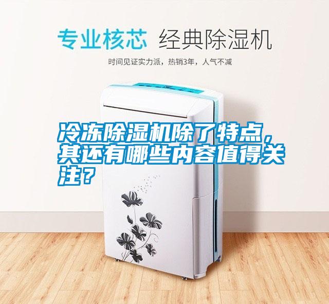 冷凍除濕機除了特點，其還有哪些內容值得關注？