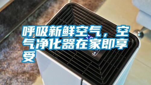 呼吸新鮮空氣，空氣凈化器在家即享受