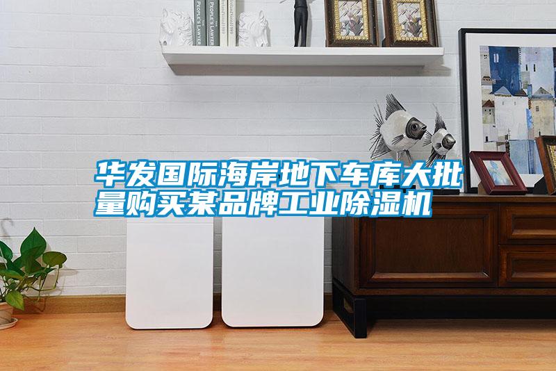 華發國際海岸地下車庫大批量購買某品牌工業除濕機