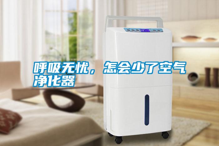 呼吸無憂,怎會少了空氣凈化器