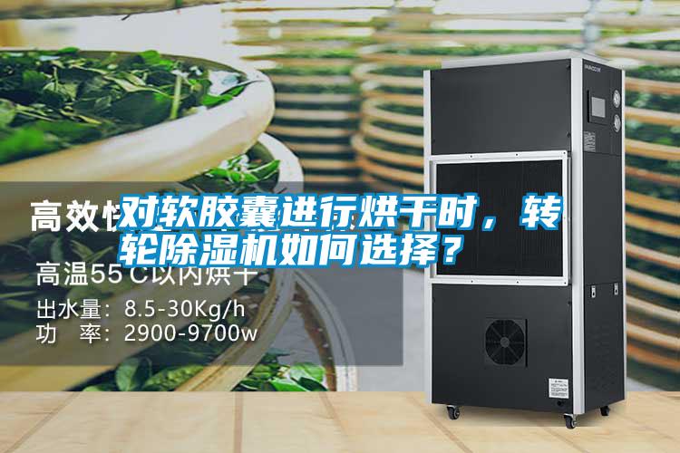 對軟膠囊進(jìn)行烘干時，轉(zhuǎn)輪除濕機(jī)如何選擇？