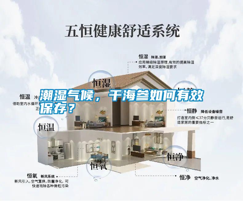 潮濕氣候，干海參如何有效保存？