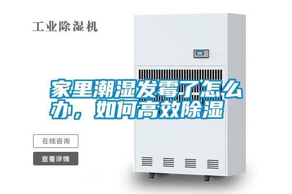 家里潮濕發霉了怎么辦,如何高效除濕