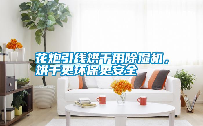 花炮引線烘干用除濕機,烘干更環(huán)保更安全