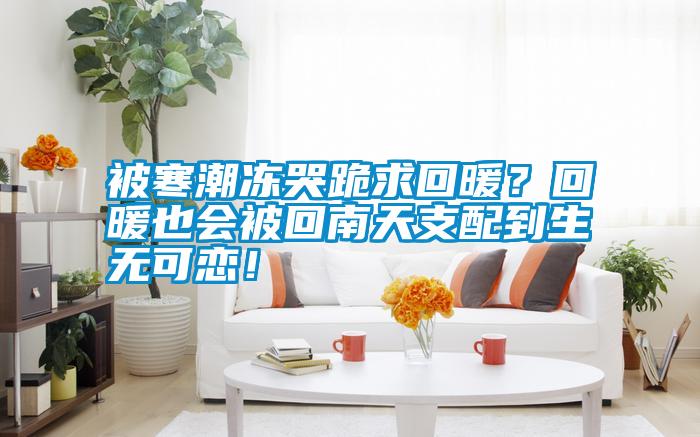 被寒潮凍哭跪求回暖？回暖也會(huì)被回南天支配到生無可戀！