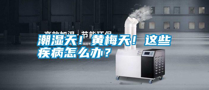 潮濕天！黃梅天！這些疾病怎么辦？