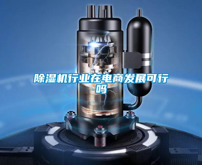 除濕機行業(yè)在電商發(fā)展可行嗎