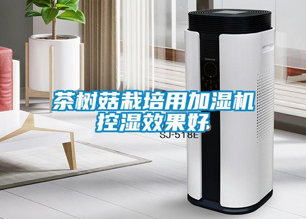 茶樹菇栽培用加濕機控濕效果好
