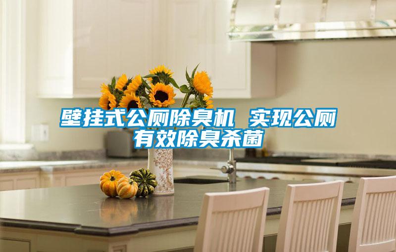 壁掛式公廁除臭機(jī) 實(shí)現(xiàn)公廁有效除臭殺菌