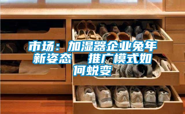 市場：加濕器企業兔年新姿態  推廣模式如何蛻變