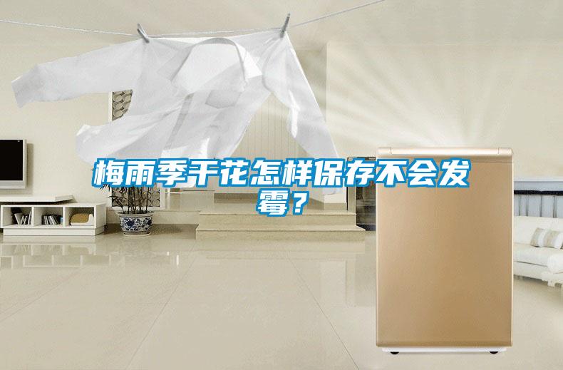梅雨季干花怎樣保存不會發霉？