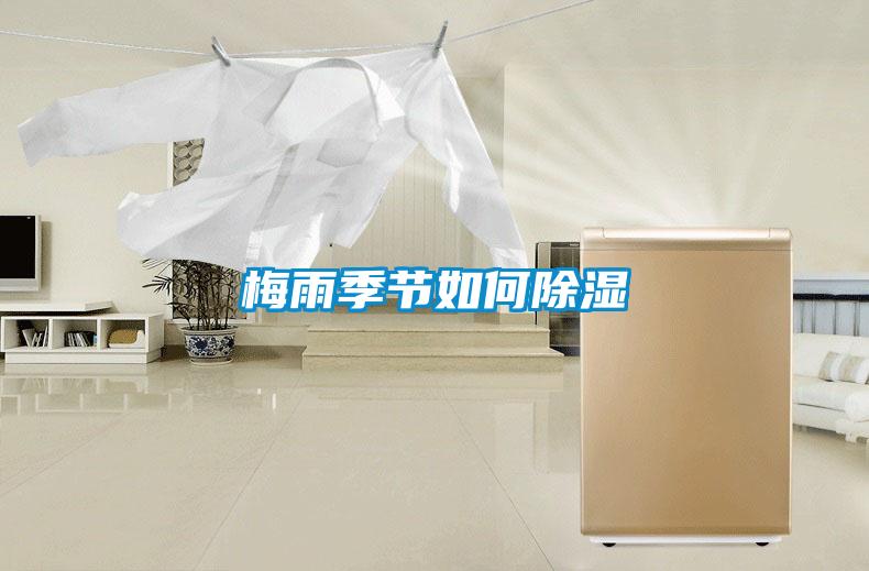 梅雨季節(jié)如何除濕