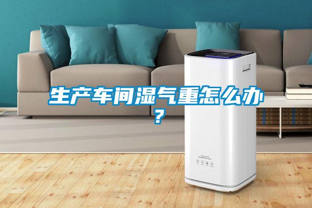 生產車間濕氣重怎么辦？