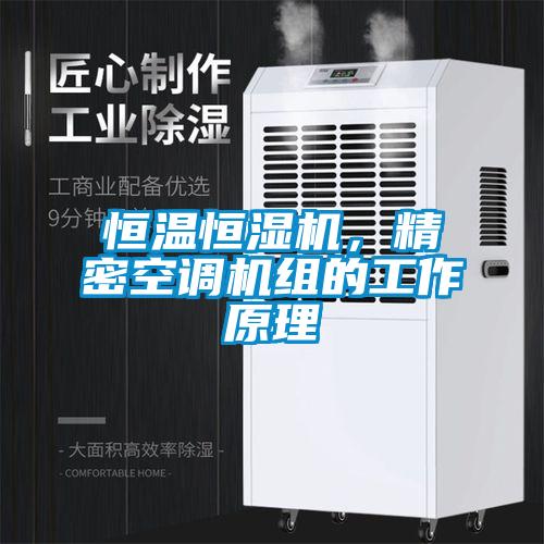 恒溫恒濕機，精密空調機組的工作原理