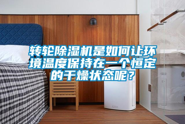 轉輪除濕機是如何讓環境溫度保持在一個恒定的干燥狀態呢？