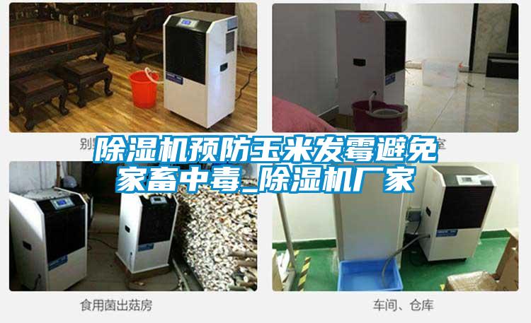 除濕機預防玉米發霉避免家畜中毒_除濕機廠家