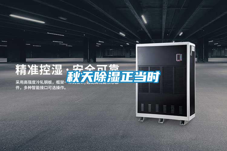 秋天除濕正當時