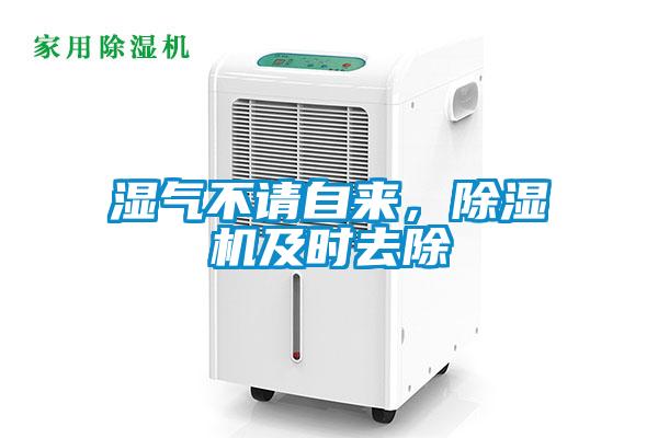 濕氣不請自來，除濕機(jī)及時(shí)去除