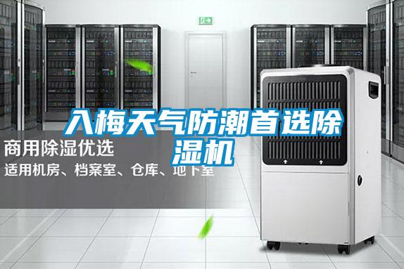 入梅天氣防潮首選除濕機