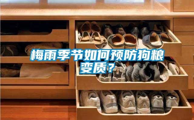 梅雨季節如何預防狗糧變質？