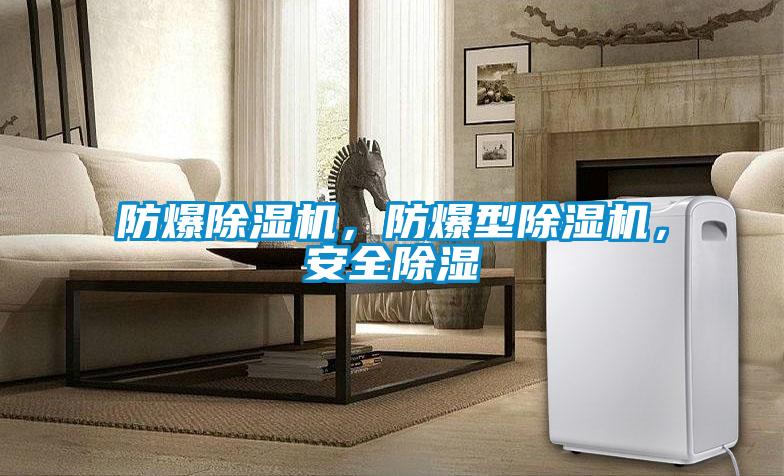 防爆除濕機(jī)，防爆型除濕機(jī)，安全除濕