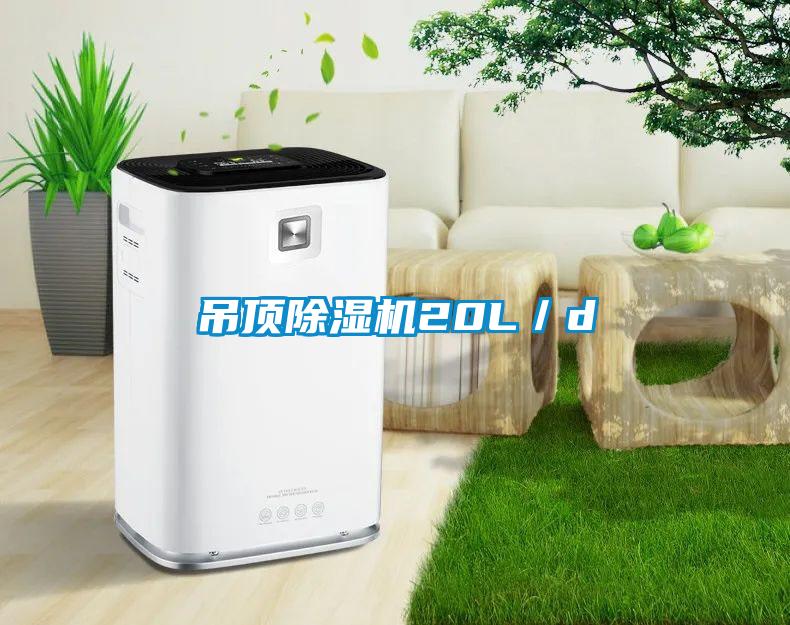 吊頂除濕機20L／d