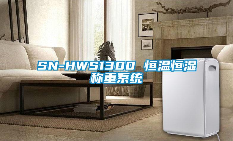 SN-HWS1300 恒溫恒濕稱重系統