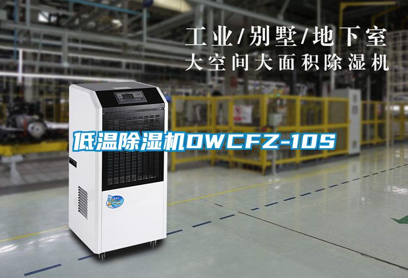 低溫除濕機DWCFZ-10S