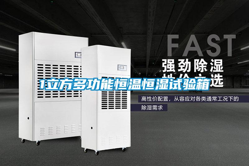 1立方多功能恒溫恒濕試驗箱