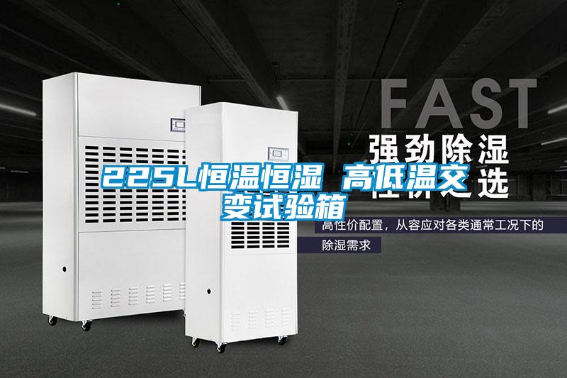 225L恒溫恒濕 高低溫交變?cè)囼?yàn)箱