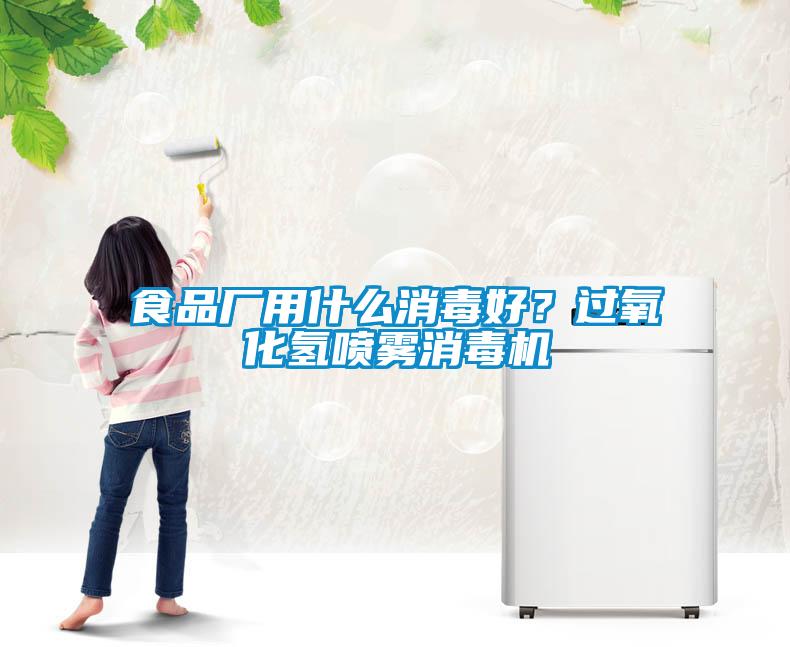 食品廠用什么消毒好？過氧化氫噴霧消毒機