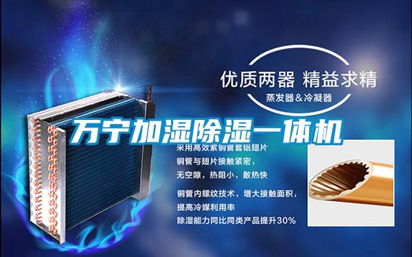 萬寧加濕除濕一體機