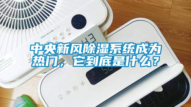 中央新風除濕系統成為熱門，它到底是什么？