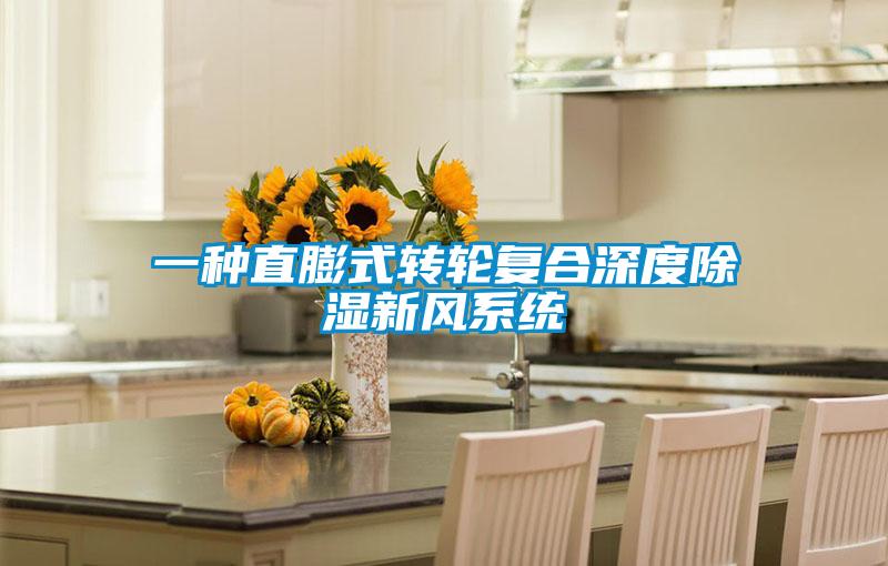 一種直膨式轉輪復合深度除濕新風系統