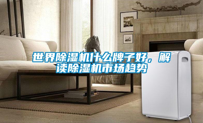 世界除濕機什么牌子好，解讀除濕機市場趨勢